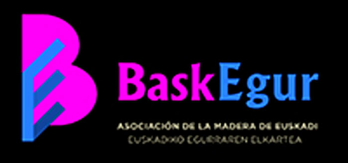 Baskegur